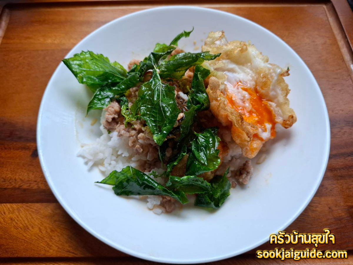 วิธีทําผัดกระเพราหมูสับไข่เยี่ยวม้า สูตรง่าย ทำเองที่บ้าน